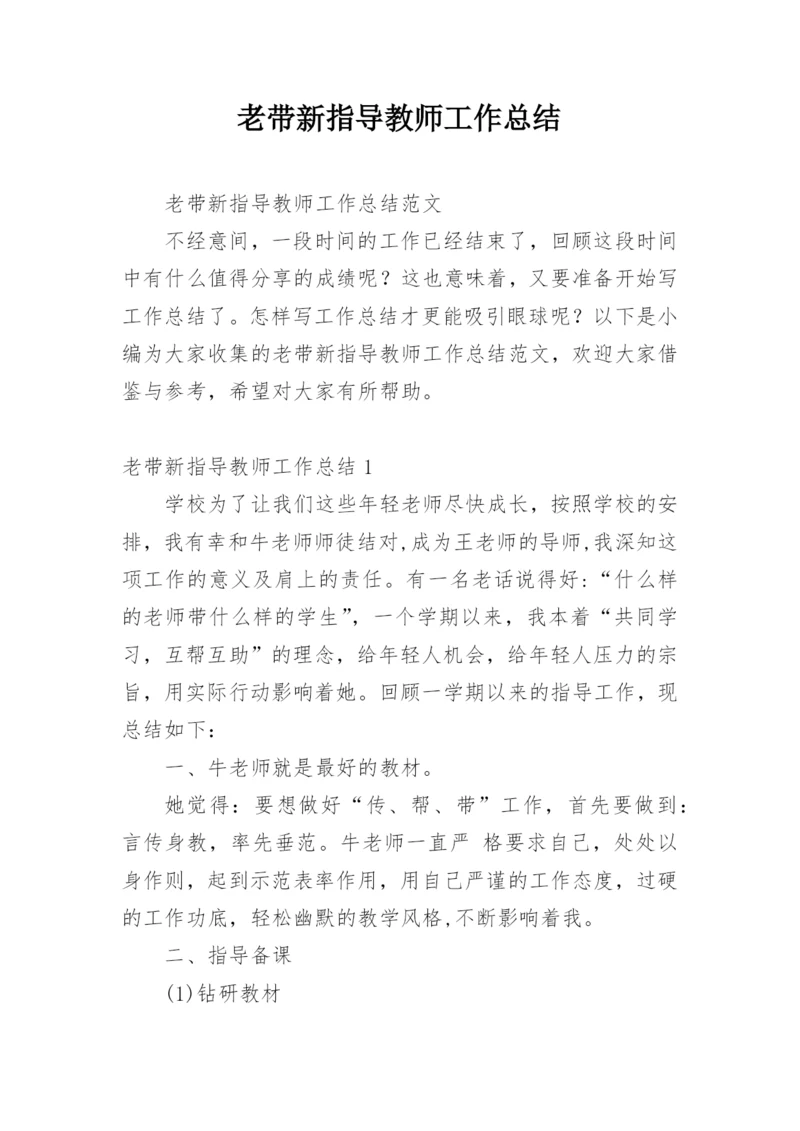 老带新指导教师工作总结.docx