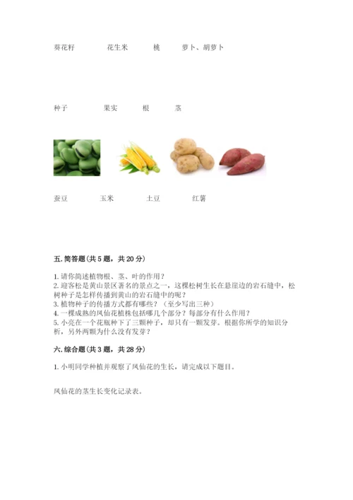 教科版四年级下册科学第一单元《植物的生长变化》测试卷精品（能力提升）.docx