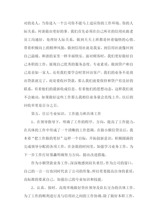 信贷员个人工作述职报告5篇.docx