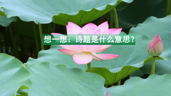 二下《古诗二》第一课时