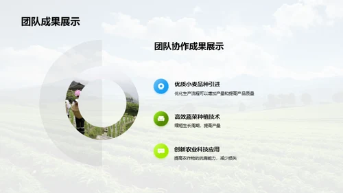 种植之道，成果之光