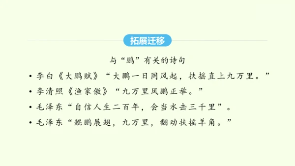 第21课《庄子》二则 统编版语文八年级下册 同步精品课件