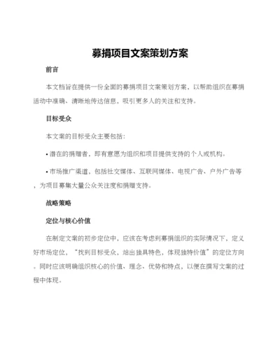 募捐项目文案策划方案.docx