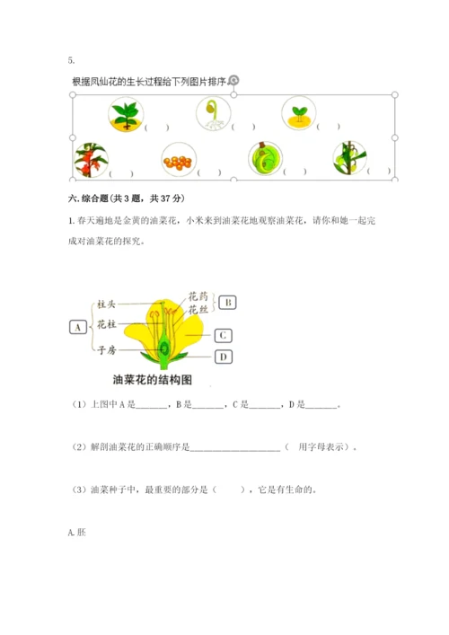 教科版科学四年级下册第一单元《植物的生长变化》测试卷完整版.docx