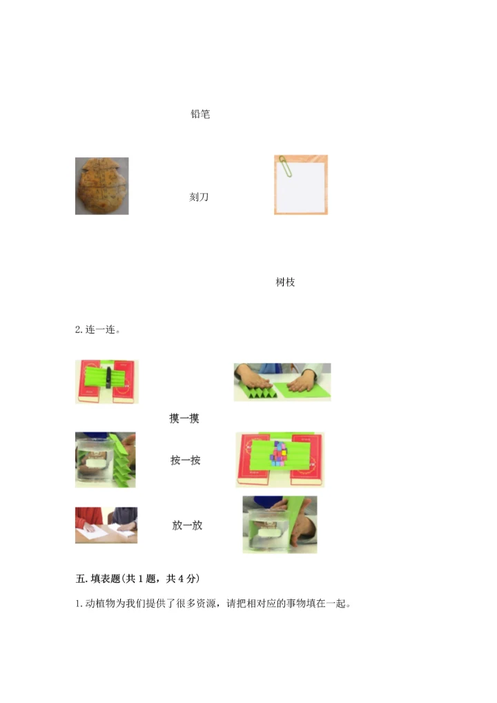 教科版科学二年级上册《期末测试卷》（含答案）.docx