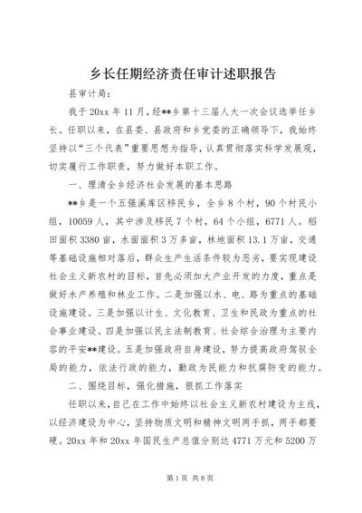 乡长任期经济责任审计述职报告.docx