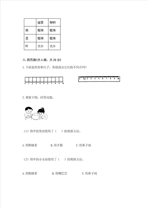 教科版一年级上册科学期末测试卷及参考答案巩固