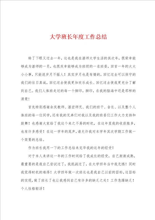 大学班长年度工作总结