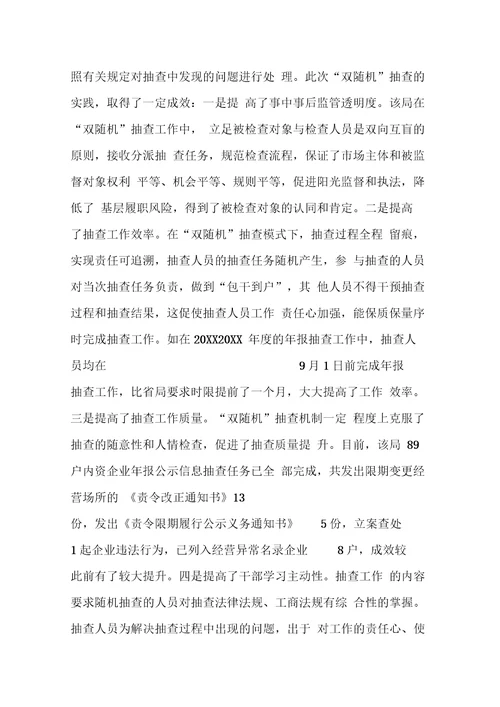 全面开展双随机一公开自查报告