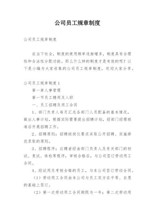 公司员工规章制度_1.docx