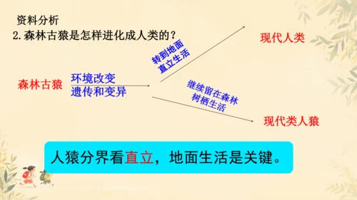 初中生物学人教版（新课程标准）七年级下册4.1.1 人的起源和发展课件(共18张PPT)