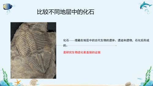 人教版八年级下册生物复习课件