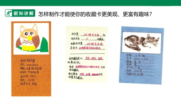 第十四课《我的收藏卡》课件