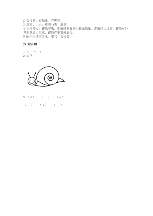 教科版一年级下册科学期末测试卷精品【夺冠】.docx