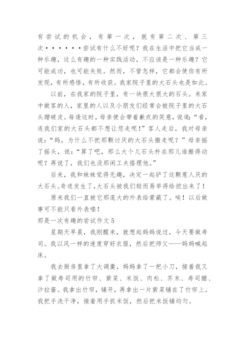 那是一次有趣的尝试作文_5.docx