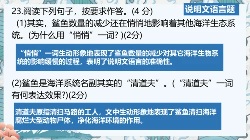 八年级上册期中复习