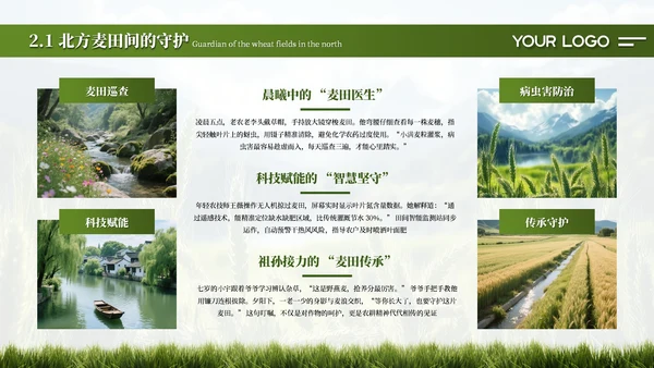 绿色简约创意中国传统二十四节气之小满课件PPT模板