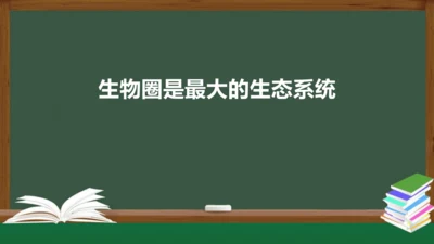 1.2.3 生物圈是最大的生态系统 课件（共28张PPT）