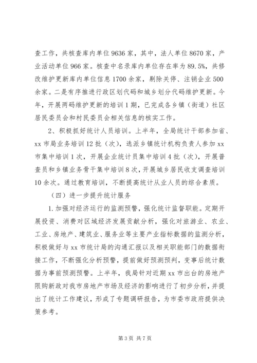 统计局XX年上半年工作总结及下半年工作计划.docx