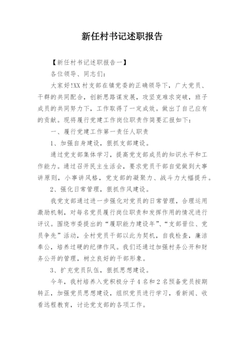 新任村书记述职报告.docx