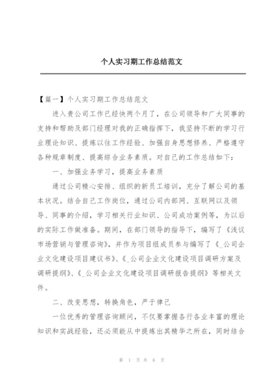 个人实习期工作总结范文.docx