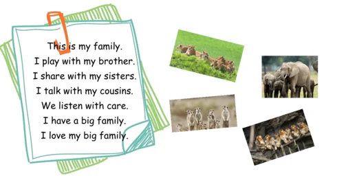 Unit 2   Different families课件（91张PPT)