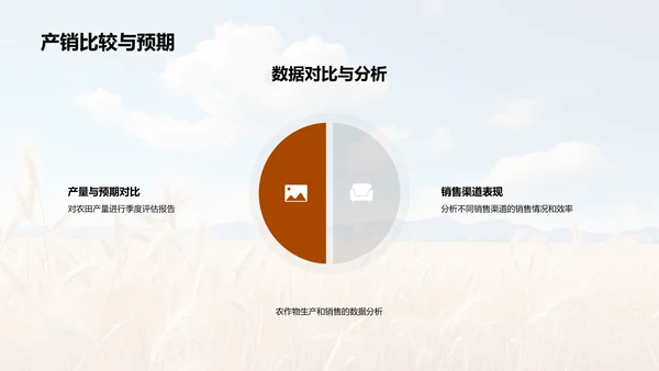 季度农业综合分析