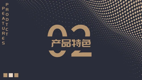 高端质感大气项目融资计划通用PPT模板