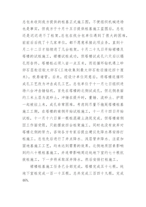 项目经理年终工作总结.docx