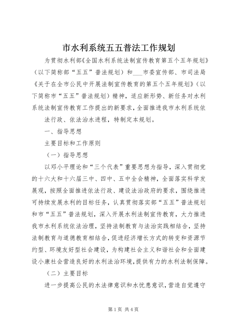 市水利系统五五普法工作规划 (3).docx