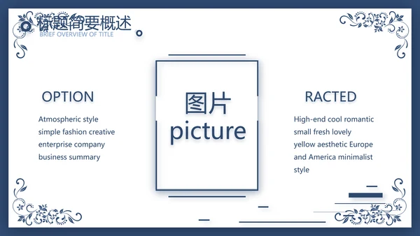 欧式花纹项目创业融资计划书商业计划书PPT