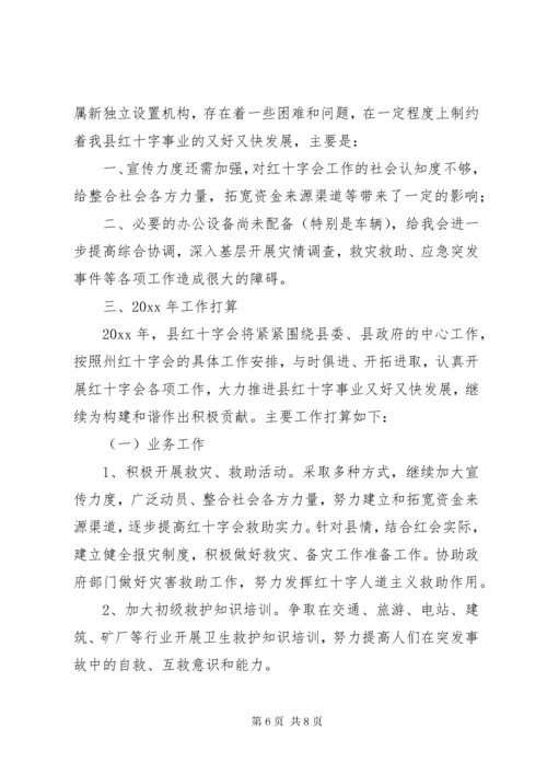 6县红十字会工作总结及计划.docx