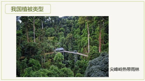 3.6 爱护植被，绿化祖国2023-2024学年七年级生物上学期同步精品课件（人教版）(共21张PP
