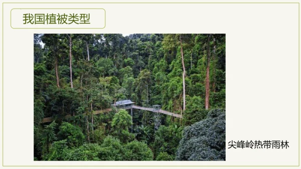 3.6 爱护植被，绿化祖国2023-2024学年七年级生物上学期同步精品课件（人教版）(共21张PP