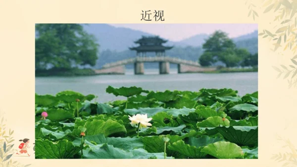 初中生物学人教版（新课程标准）七年级下册4.6.1人体对外界环境的感知课件(共33张PPT)