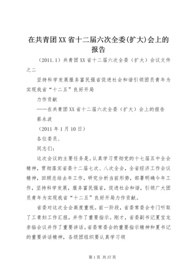 在共青团XX省十二届六次全委(扩大)会上的报告.docx