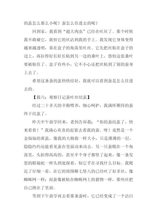 描写蚕产丝的作文.docx