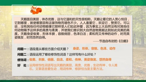 17 松鼠 第二课时课件