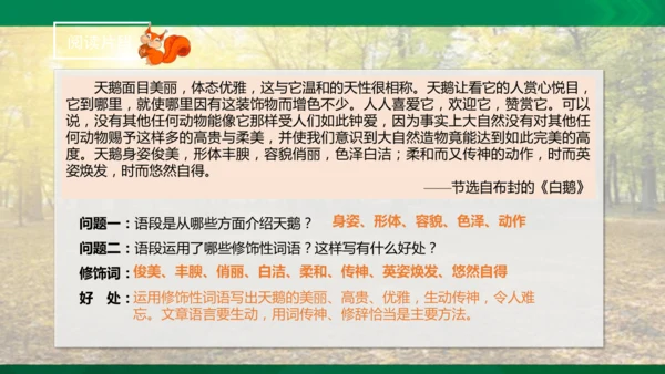 17 松鼠 第二课时课件