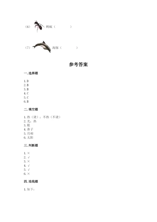 教科版科学二年级上册《期末测试卷》精品【有一套】.docx