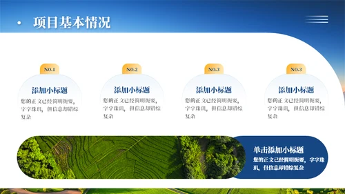 乡村振兴项目工作汇报通用PPT模板