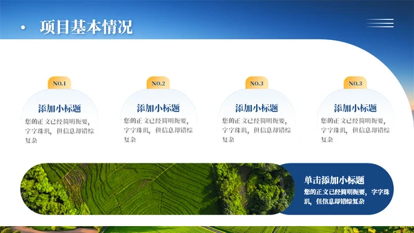 乡村振兴项目工作汇报通用PPT模板