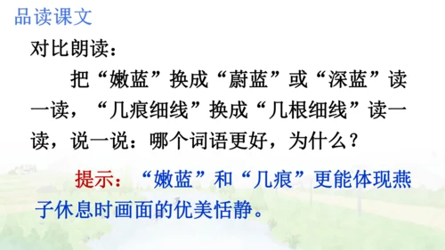 2 燕子   课件