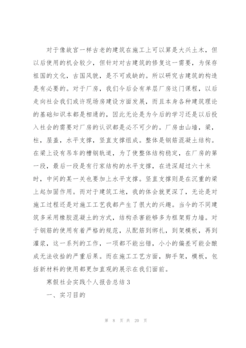 寒假社会实践个人报告总结范文.docx