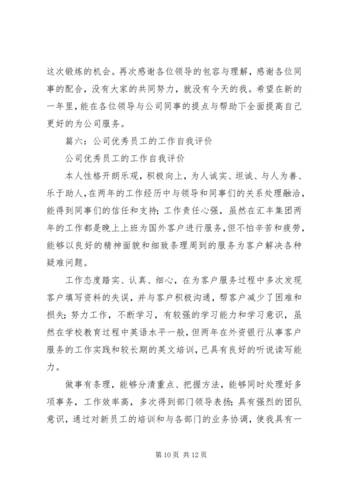 公司年度自我评价范文.docx