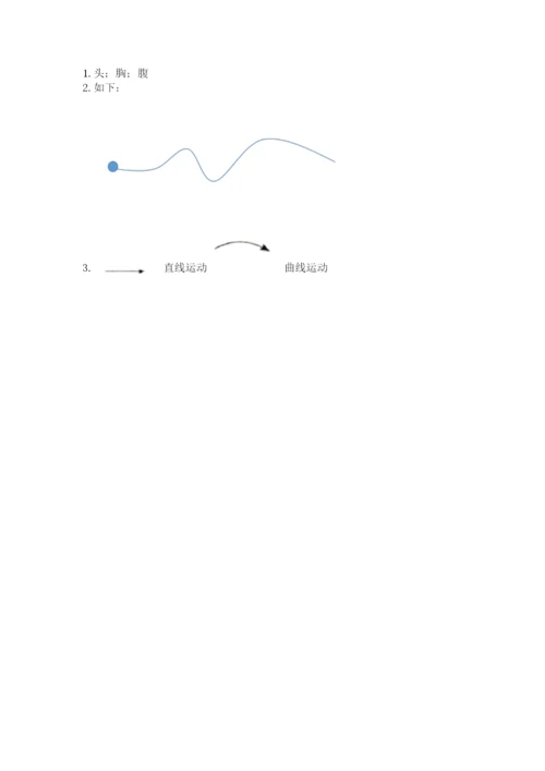 教科版科学三年级下册期末测试卷【考点精练】.docx