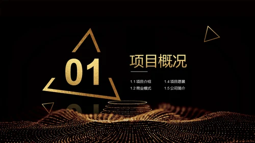 黑金奢华创业计划书通用PPT模板