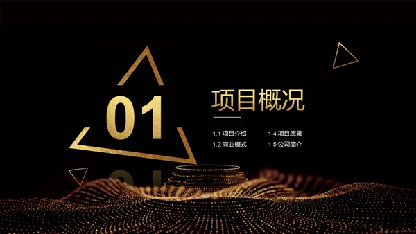 黑金奢华创业计划书通用PPT模板