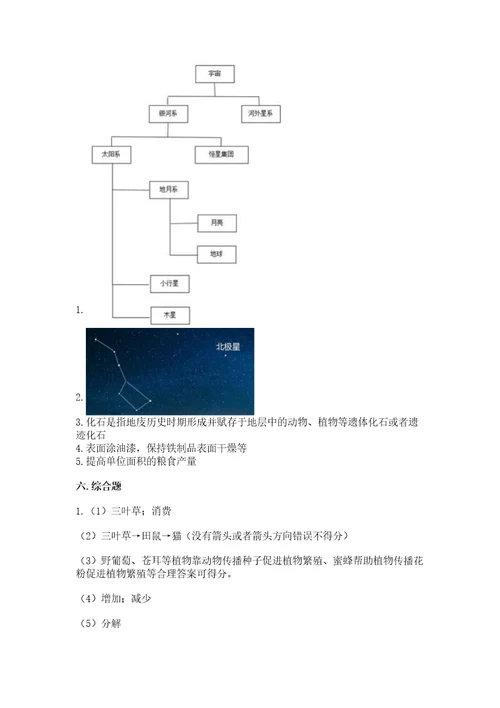 教科版六年级下册科学期末测试卷各版本