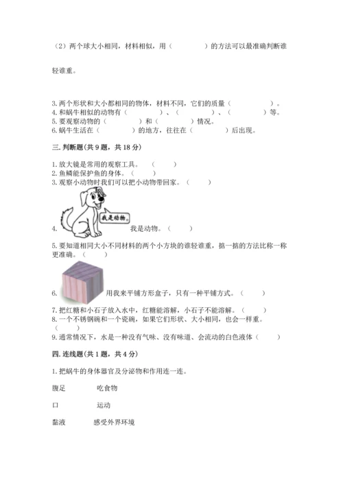教科版一年级下册科学期末测试卷含答案【巩固】.docx